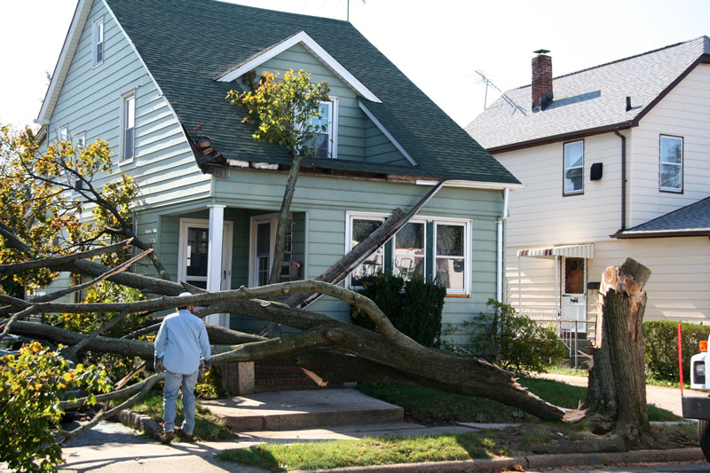 tree removal